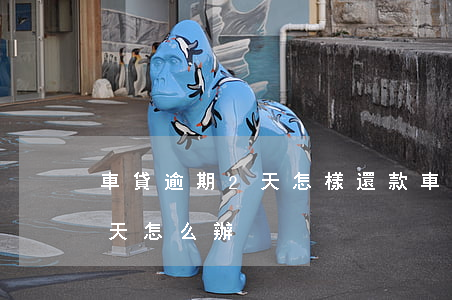 車貸逾期2天怎樣還款(車貸忘記還款逾期兩天怎么辦)