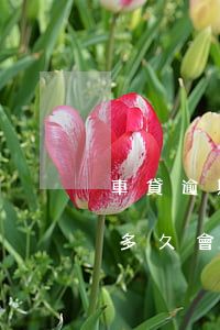 車貸逾期2年后被法院扣押(車輛按揭款逾期多久會(huì)被處理)