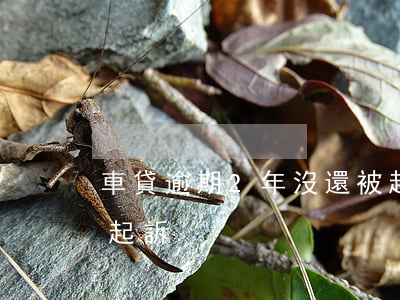 車貸逾期2年沒還被起訴(車貸逾期二年還沒起訴)