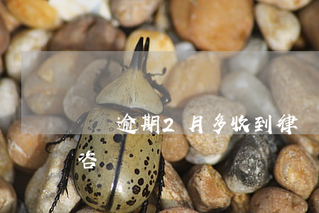 車貸逾期2月多收到律師函-車貸逾期律師咨詢
