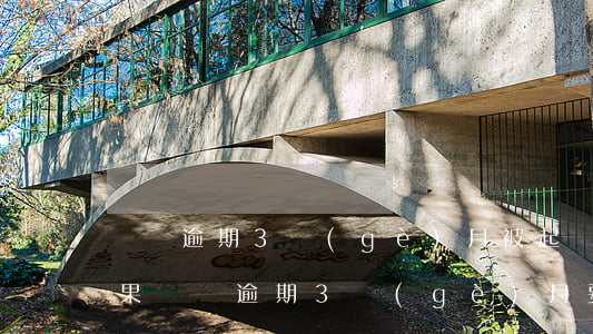 車貸逾期3個(gè)月被起訴會有什么后果（車貸逾期3個(gè)月要被起訴）