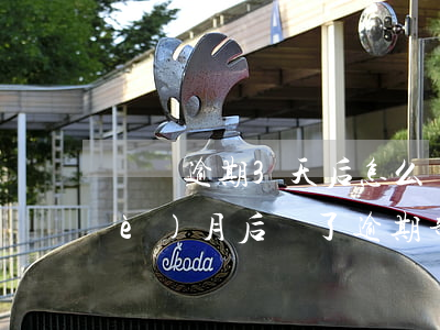 車貸逾期3天后怎么還款(車貸逾期三個(gè)月后還了逾期部分怎樣)