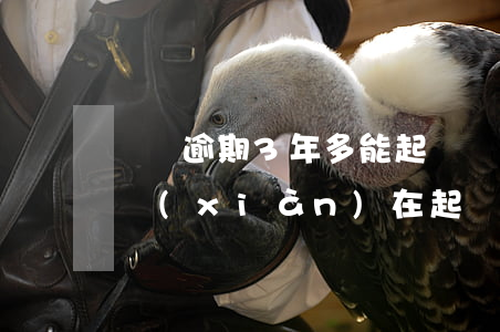 車貸逾期3年多能起訴嗎(車貸逾期三個月了現(xiàn)在起訴我了怎么辦)