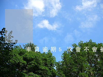 車貸逾期5次會不會被起訴