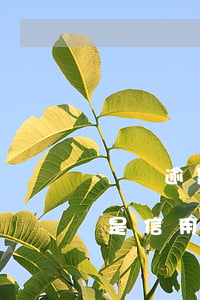 車貸逾期6次信用卡被凍結(jié)(車貸是信用卡逾期了)