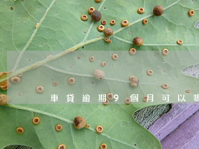 車貸逾期9個月可以嗎-車貸逾期九個月