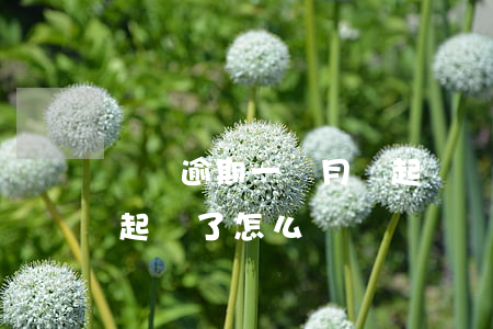 車貸逾期一個月會起訴嗎（車貸逾期一個月被起訴了怎么辦）