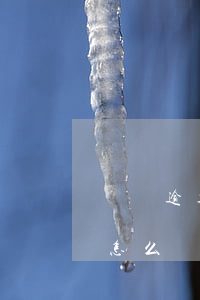 車貸逾期一個月有事沒(車貸逾期一個月了會怎么樣)
