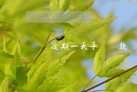 車貸逾期一天手動還款