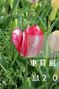 車貸逾期一天罰10006(車貸逾期一天罰息200多)