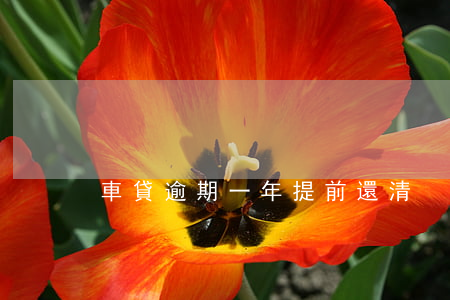 車貸逾期一年提前還清