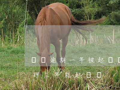車貸逾期一年被起訴會坐牢嗎（車貸逾期被扣押三年能起訴嗎）