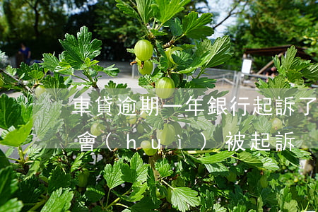 車貸逾期一年銀行起訴了(銀行車貸逾期多久會(huì)被起訴)