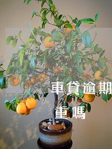 車貸逾期一次能貸款嗎(車貸款逾期一個月嚴重嗎)