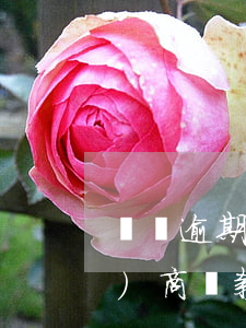 車貸逾期三個(gè)月后可以協(xié)商還款嗎