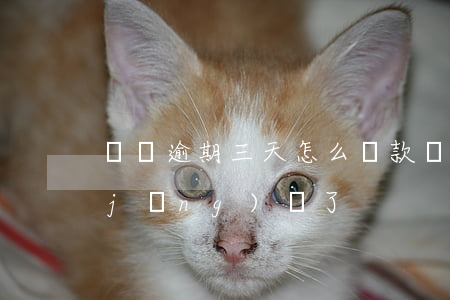 車貸逾期三天怎么還款(車貸逾期3天已經(jīng)還了)