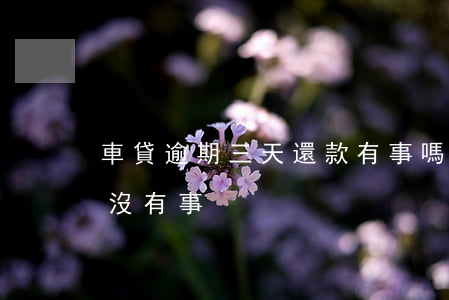 車貸逾期三天還款有事嗎(車貸逾期兩三天有沒有事)