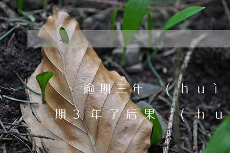 車貸逾期三年會(huì)坐牢嗎-車貸逾期3年了后果會(huì)怎樣?