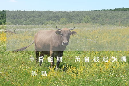 車貸逾期三萬會被起訴嗎 車貸欠3萬多會起訴嗎