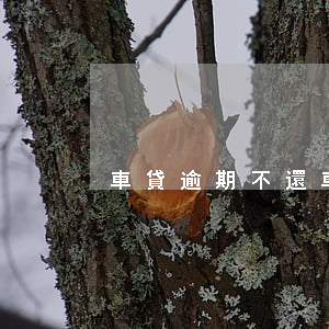 車貸逾期不還(車貸逾期不還會不會坐牢)