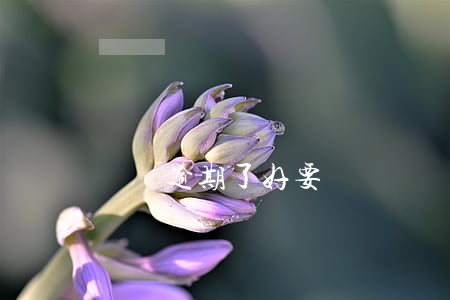車貸逾期了好要嗎