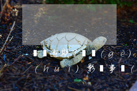 車貸逾期了幾個(gè)小時(shí)會(huì)影響事業(yè)編考試么（車貸逾期了幾個(gè)小時(shí)）