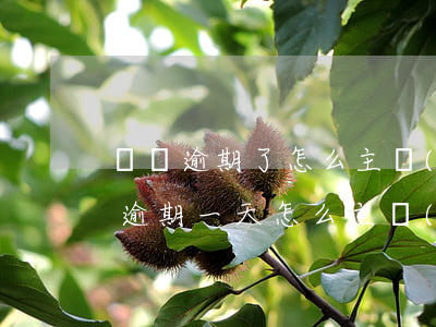 車貸逾期了怎么主動(dòng)還款(車貸逾期一天怎么主動(dòng)還款)