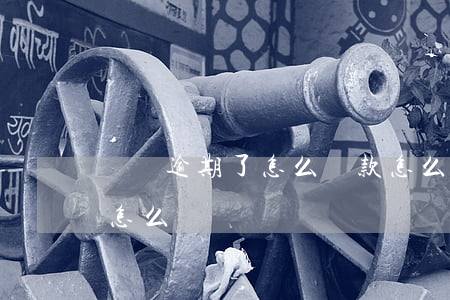 車貸逾期了怎么還款怎么那么高（車貸逾期了怎么還）