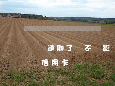 車貸逾期了會不會影響信用卡(車貸逾期會影響信用卡嗎)