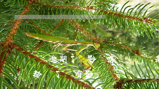 車貸逾期了會影響房貸嗎(車貸每月都逾期但都還了會有影響嗎)