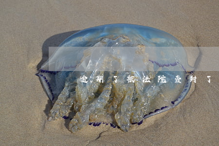車貸逾期了被法院查封了車子
