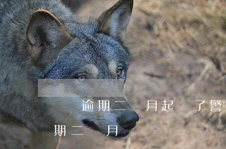 車貸逾期二個月起訴了警察來了(我的車貸逾期二個月)