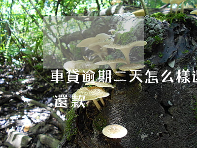 車貸逾期二天怎么樣還款(車貸逾期兩天怎么還款)