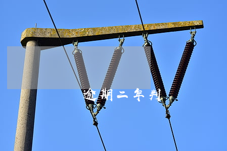 車貸逾期二年判決書(車貸逾期兩期)