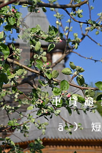 車貸逾期今天收到短信起訴(車貸逾期發(fā)短信說訴訟我了)