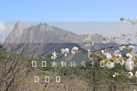 車貸逾期信用卡還能申請嗎(有逾期可以申請車貸嗎)