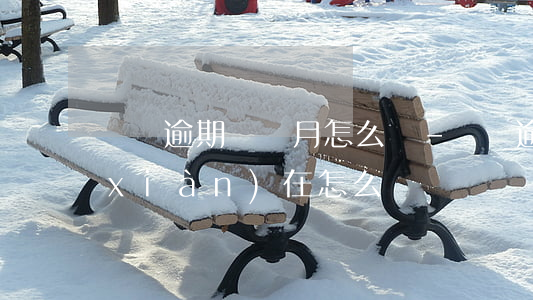 車貸逾期兩個月怎么辦-車貸逾期2年現(xiàn)在怎么辦