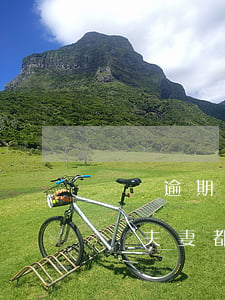車貸逾期兩夫妻都被起訴了怎么辦(車貸逾期兩夫妻都被起訴了怎么辦)