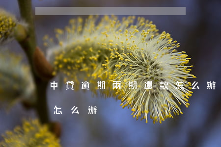車貸逾期兩期還款怎么辦(車貸逾期兩期還款怎么辦)