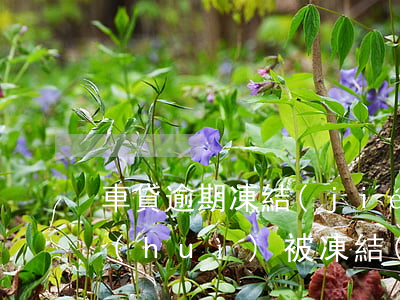 車貸逾期凍結(jié)賬戶嗎(車貸不還會(huì)被凍結(jié)賬戶么)
