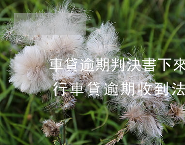 車貸逾期判決書下來了會立即執(zhí)行（車貸逾期收到法院的財產(chǎn)報告令）