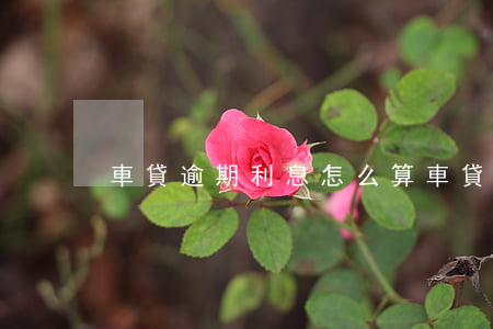 車貸逾期利息怎么算(車貸逾期利息怎么算的)