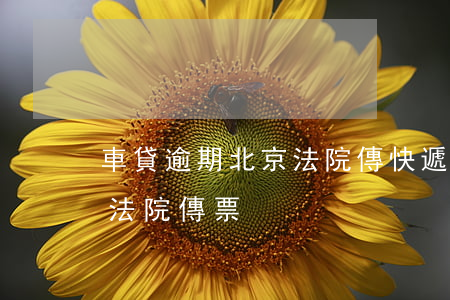 車貸逾期北京法院傳快遞單子(車貸逾期收到法院傳票)