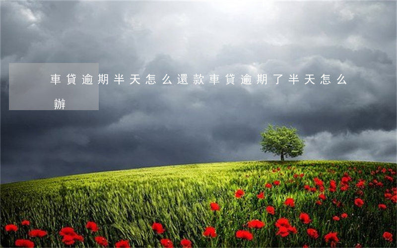 車貸逾期半天怎么還款(車貸逾期了半天怎么辦)