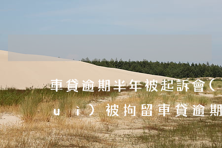 車貸逾期半年被起訴會(huì)不會(huì)被拘留（車貸逾期一年會(huì)被起訴法院）