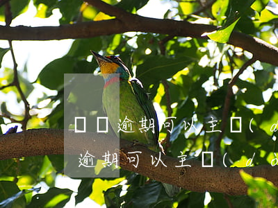 車貸逾期可以主動(dòng)還款嗎(車貸逾期可以主動(dòng)還款嗎)