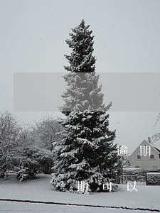 車貸逾期可以用信用卡還嗎(車貸有信用卡逾期可以貸嗎)