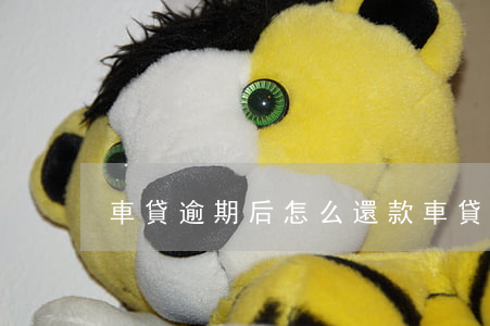 車貸逾期后怎么還款(車貸逾期之后怎么還款)