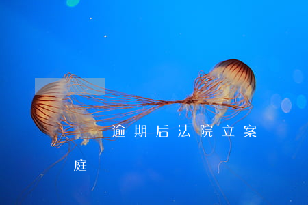 車貸逾期后法院立案(車貸逾期被起訴多久開庭)