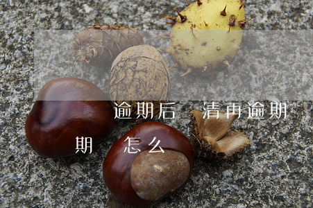 車貸逾期后還清再逾期(車貸逾期后還清再逾期會怎么樣)